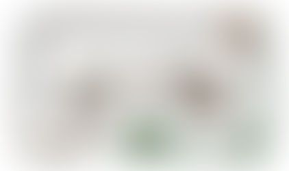 HO D&RGW track plan for Jim Bell