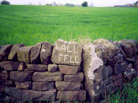 Walls of Rebellion