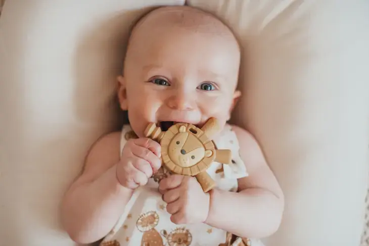 Thumbnail: Itzy Ritzy Teether - Molar Teether