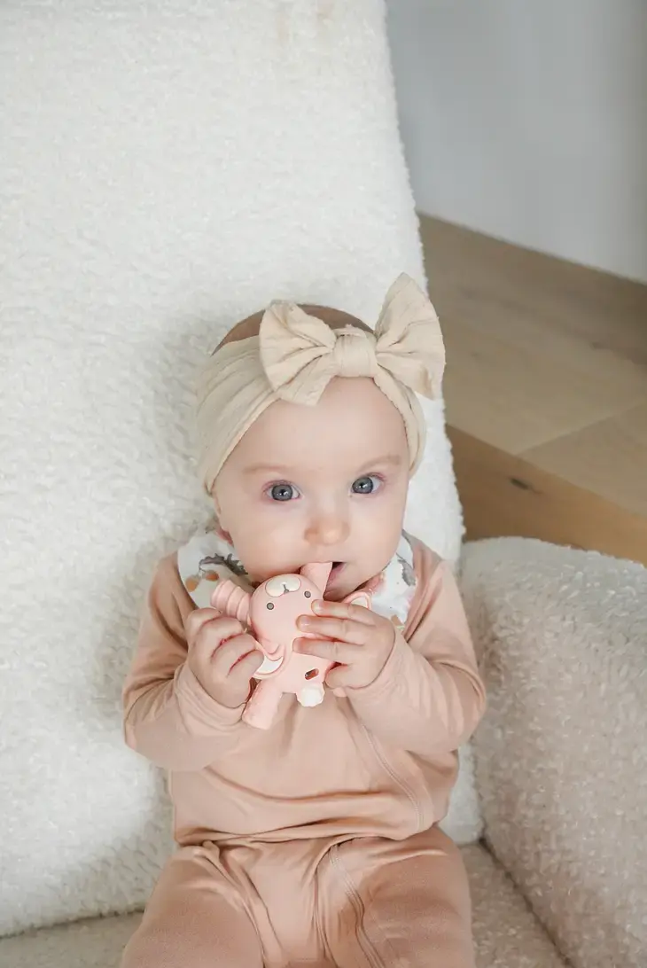 Thumbnail: Itzy Ritzy Teether - Molar Teether