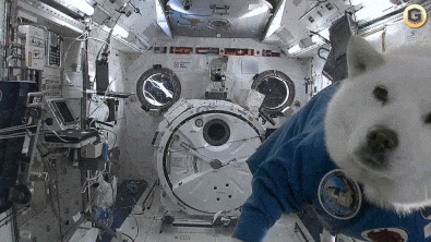 Space GIF.gif