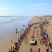festival en la playa.jpg