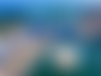 Aerial view of Port Everglades in Fort Lauderdale with cruise ships, cargo terminals, and waterways, featuring The Blue Economy branding and guest Joseph Morris