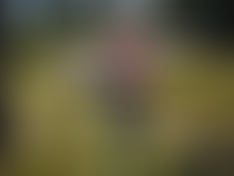 Geraldine Hardy practicing Tai Chi outdoors as part of a self care routine focused on nervous system regulation, movement and emotional wellbeing.