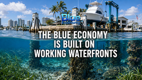 Split-level image of a South Florida working waterfront with marina infrastructure, dockside power, boats, and marine life below the waterline, illustrating how working waterfronts support the blue economy.
