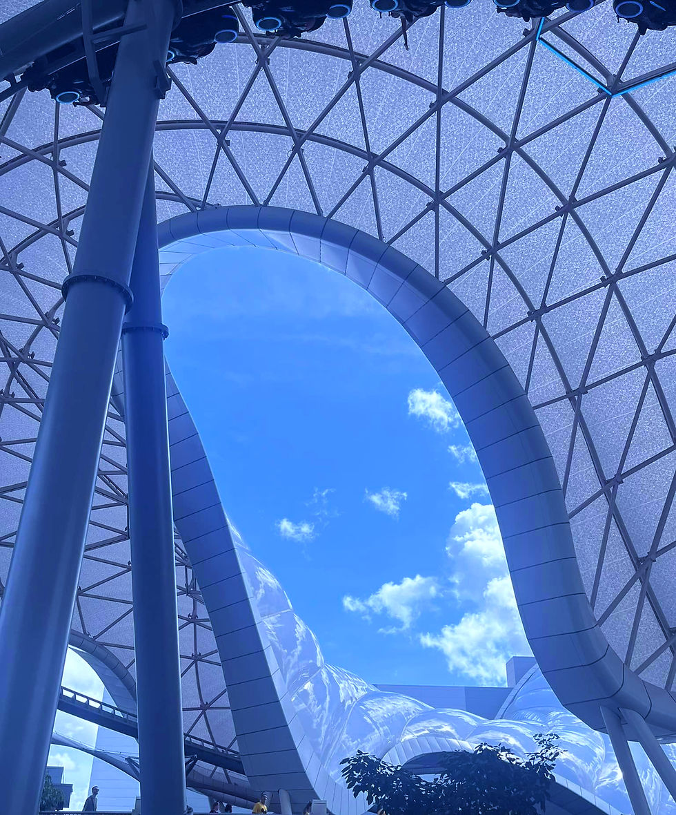 Tron Lightcycle Run - A Single Pass Lightning Lane ride that is included in the Premier Pass as well. Again, good to ride at night.