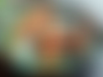 Um prato colorido que mistura elementos de diferentes cozinhas — por exemplo, sushi com pastel e curry.