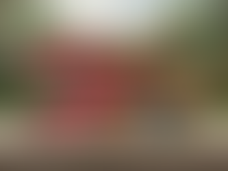 BOLACHA SURPRESA NESTLÉ