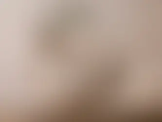 Uma mesa posta minimalista com elementos assimétricos e iluminação natural.