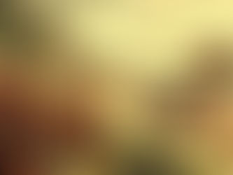 A influência indígena na culinária brasileira: o que já estava aqui antes do Brasil existir