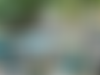 Foodspot 2025: gastronomia paulistana ao ar livre nos dias 16 e 17 de agosto