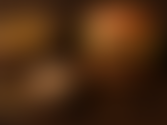 Close de insetos desidratados e farinha de grilo sobre fundo rústico, ao lado de um hambúrguer proteico feito à base de insetos.