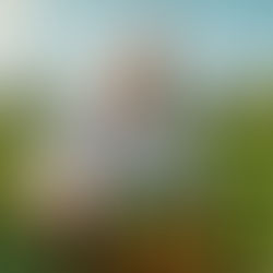 Chef em uma horta urbana colhendo ingredientes sazonais sob sol forte, simbolizando adaptação climática e sustentabilidade na gastronomia.