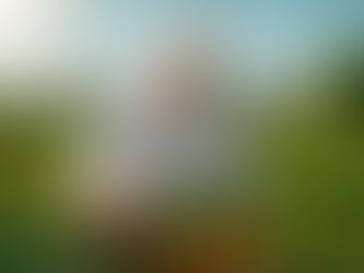 Chef em uma horta urbana colhendo ingredientes sazonais sob sol forte, simbolizando adaptação climática e sustentabilidade na gastronomia.