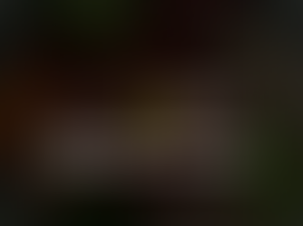 Guia Michelin 2025: Novos Bib Gourmand celebram o melhor da gastronomia acessível no Brasil