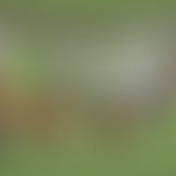 ПРОМЯНАТА – НАЙ-ДОБРИЯТ ЛЕК СРЕЩУ ДУХОВНИТЕ АЛЕРГИИ