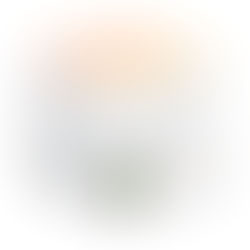 ГЪБАТА LION’S MANE (ЛЪВСКА ГРИВА) в BRYT – КЛЕТЪЧНА ХРАНА ЗА МОЗЪКА