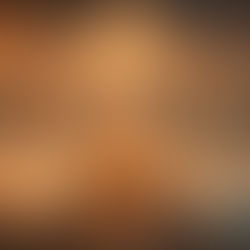 КАК СЕ РАЖДА ПРОЕКТЪТ „АЛХИМИЯ“