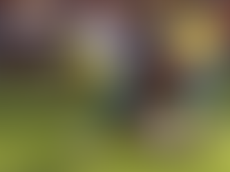 Brasil cai no ranking masculino da Fifa e Espanha dá salto após título da Eurocopa