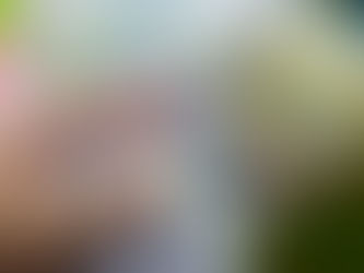 Dólar fecha em alta com aversão ao risco após oito pregões de queda