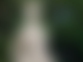 Perícias e novas diligências: veja o que as defesas dos réus na ação do suposto golpe pedem ao STF