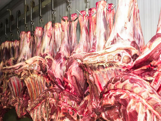 Frigoríficos do Brasil avaliam suspender exportações de carne aos EUA