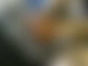 MP pode consultar CNIB para saber de bens indisponíveis dos réus, diz STJ