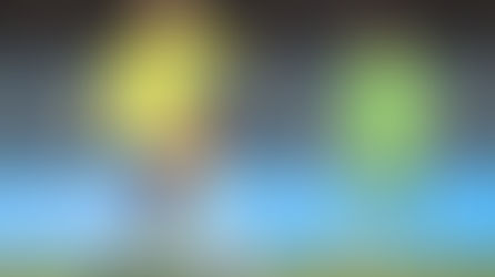 A Seleção e a dúvida sobre o ‘craque salvador’