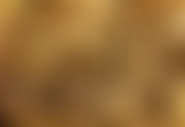 Salários pagos em BITCOIN já são uma realidade