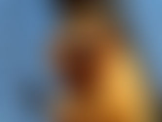 Polícia Federal faz operação contra caça ilegal de mico-leão-dourado no RJ