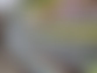 Preço da dúzia de ovos subiu 43% desde dezembro, informa Procon-SP