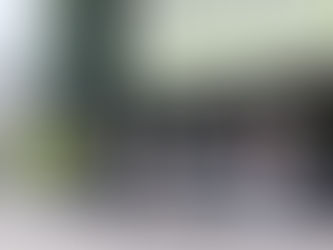 Produtos químicos são apreendidos na casa de suspeito de planejar ataque a show de Taylor Swift