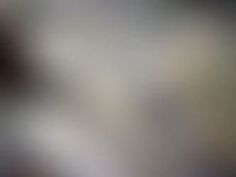 Dólar tem alta moderada com ‘efeito Trump’ e China