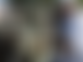 Trump envia Guarda Nacional a Chicago enquanto ICE intensifica ações contra imigrantes