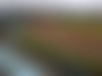 Iphan aprova tombamento do Complexo do Ibirapuera em São Paulo