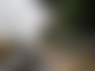 Justiça determina que governo religue radares em rodovias federais