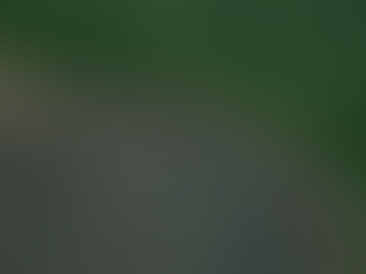 Terra Indígena Karipuna de Rondônia tem cenário de incêndio e seca