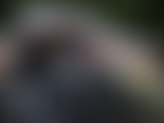 Exército nega irregularidade em visitas a generais presos no inquérito do golpe