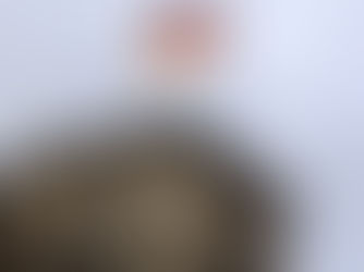 Três homens vinculados ao Hamas são presos na Alemanha com armas e munições