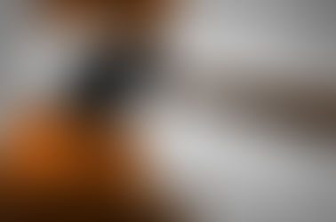 Lei contra o Assédio é publicada no Diário Oficial e repercute na mídia