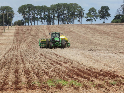 Produção brasileira de grãos na safra 2024/25 indica recorde de 345,23 milhões de toneladas