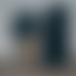 Como levar o seu pet para os EUA