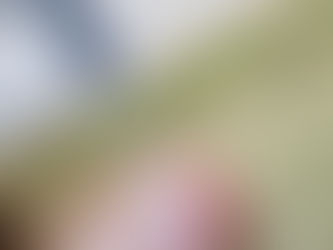 Cerca de 5 milhões de brasileiros podem ter título de eleitor cancelado