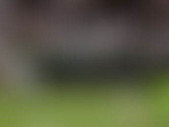 Igor Coronado chega ao Corinthians com status de craque e alta expectativa