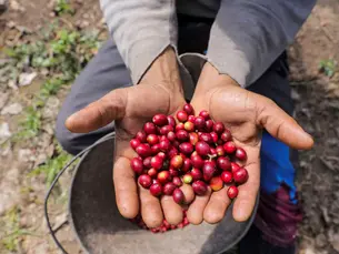 Carne e café ficam fora de programa de compras públicas por demanda em novos mercados