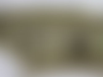 Dólar atinge R$ 6 pela primeira vez após anúncio de pacote fiscal do governo