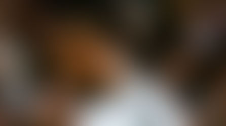 Militão passará por novo exame na segunda e deve ficar fora da Copa do Mundo