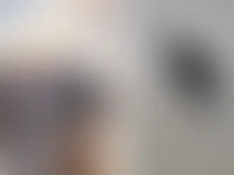 MP pede arquivamento do caso Cão Orelha em Santa Catarina