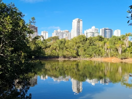 11,8 milhões de brasileiros vivem em áreas de unidades de conservação, revela Censo 2022