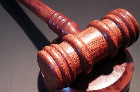 Projeto de lei para redução de pena para doadores de órgãos coisifica pessoas e reforça racismo